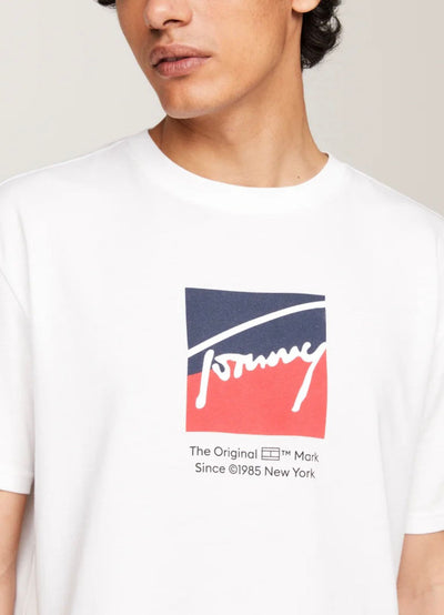 Tricou barbati Tommy Hilfiger, regular fit, 100% bumbac, imprimeu