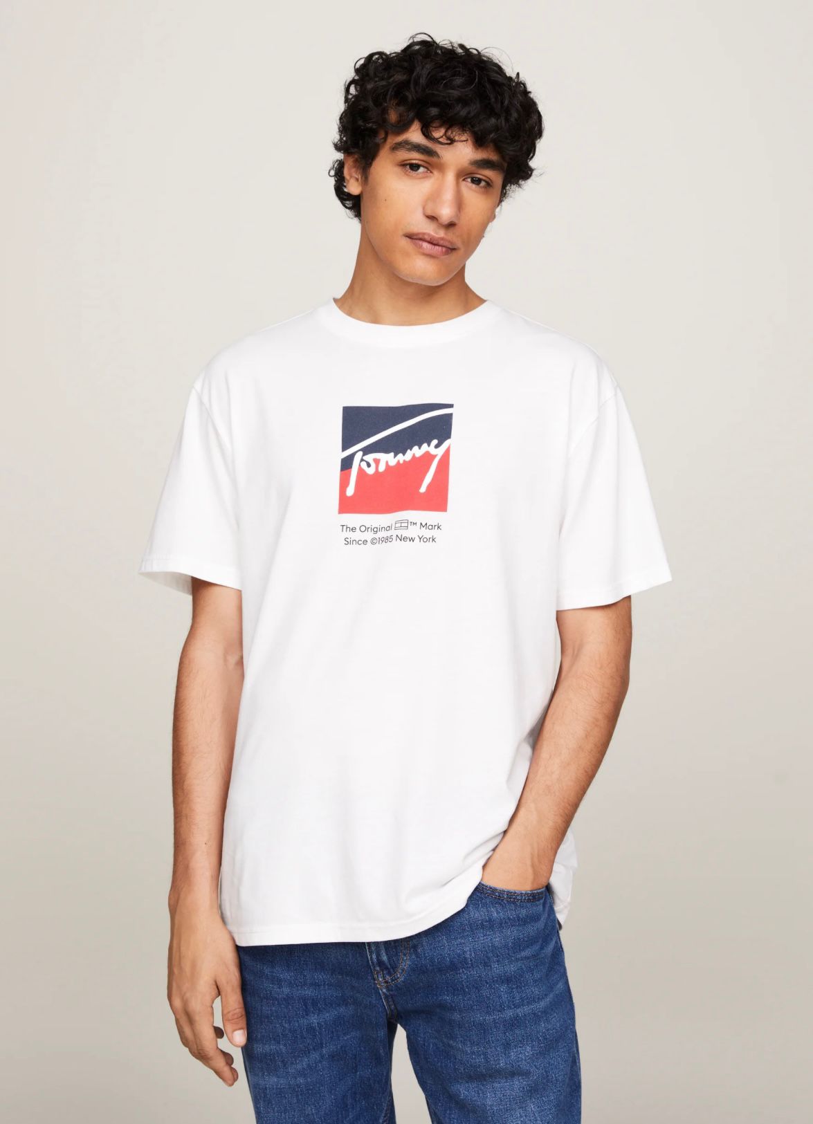 Tricou barbati Tommy Hilfiger, regular fit, 100% bumbac, imprimeu