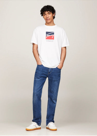 Tricou barbati Tommy Hilfiger, regular fit, 100% bumbac, imprimeu